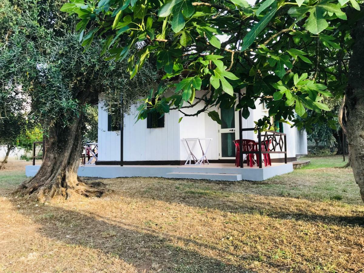 Hotel Funno Delle Noci Peschici Zewnętrze zdjęcie
