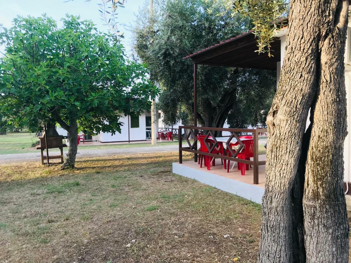Hotel Funno Delle Noci Peschici Zewnętrze zdjęcie